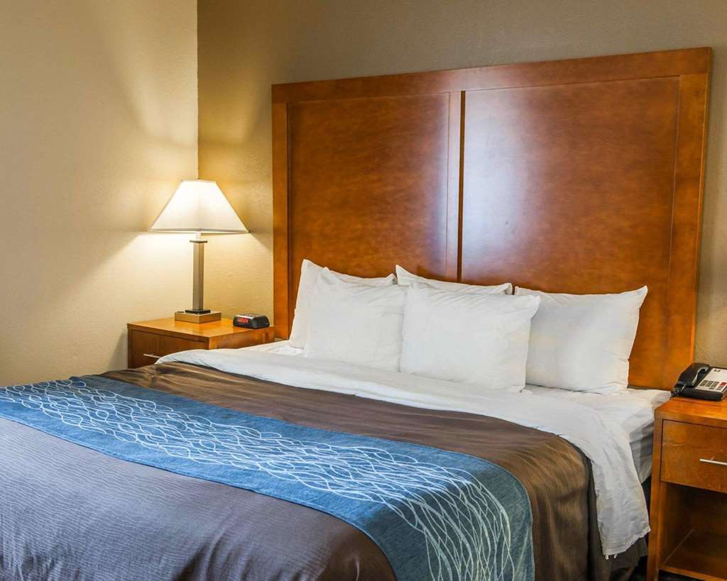 Comfort Inn South Indianapolis Rum bild
